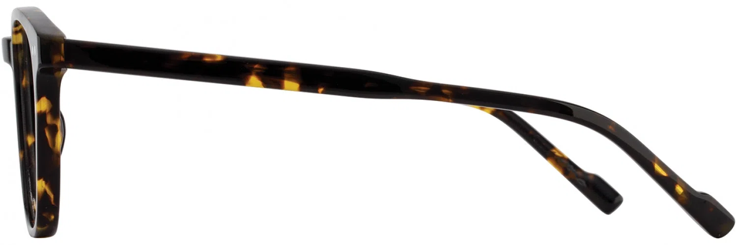 Scott Harris SH946 Eyeglasses - view 8